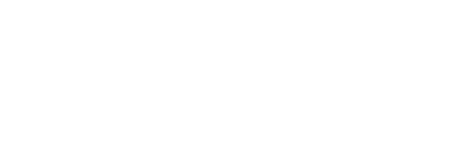 Боя Раптор